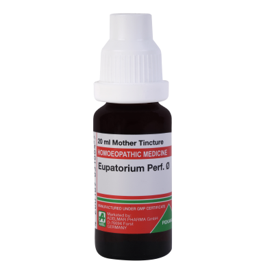 Eupatorium Perfoliatum 1X (Q) (20ml)